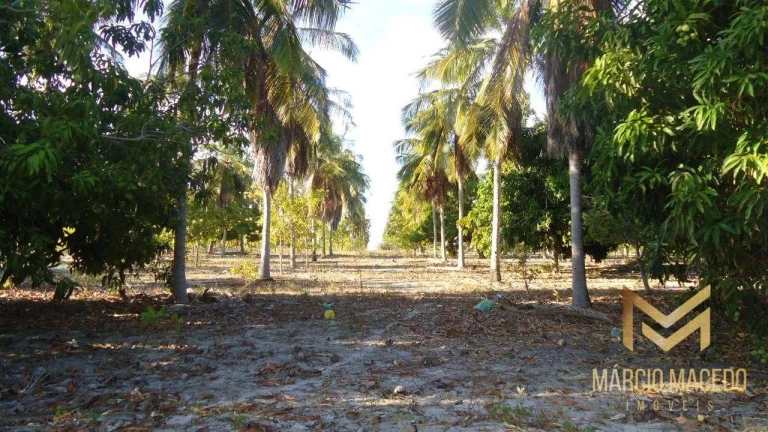 Imagem Terreno à venda, 247664 m² por R$ 1.200.000,00 - Zona Rural - Beberibe/CE