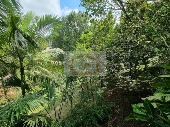 Imagem Conforto, segurança e natureza!!! Casa com 3 suítes , 4 vagas - *Granja Viana