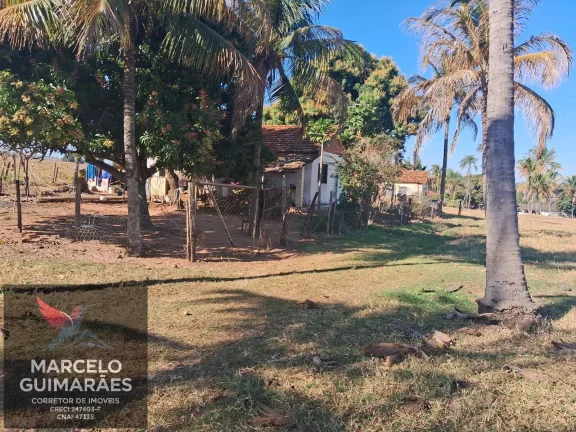 Imagem Propriedade Rural em Guaimbê, SP - 12 Alqueires Sitio Valenciano