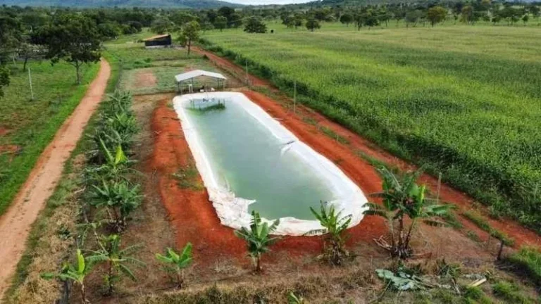 Imagem Oportunidade Única! Fazenda de Alto Potencial em Várzea da Palma - Conheça Agora!