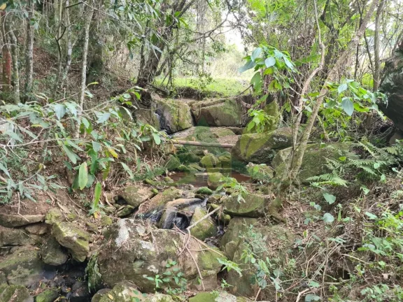 Imagem Lindo sítio à Venda em Piracaia