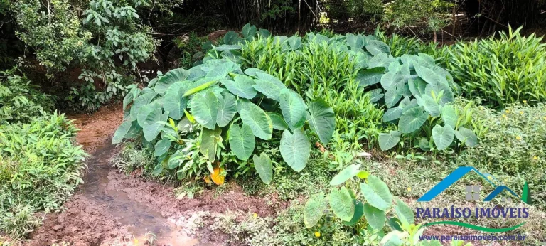 Imagem Oportunidade Imperdível: Terreno com 21,21ha em Localização Privilegiada!