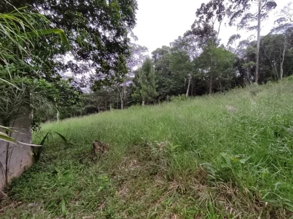 Imagem CHÁCARA RESIDENCIAL À VENDA, ESTÂNCIA PIRATININGA/PALMEIRAS, SUZANO