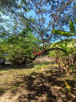 Imagem Terreno à venda, 360 m² por R$ 550.000,00 - Geribá - Armação dos Búzios/RJ