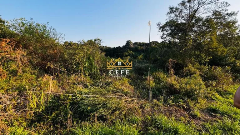 Imagem Chácara - Sítio com 2 Dormitorio(s) localizado(a) no bairro Padre Eterno Ilges em Santa Maria do Herval / RIO GRANDE DO SUL Ref.:1586