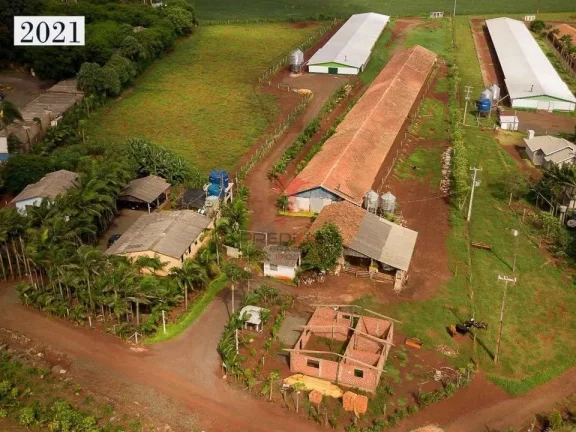 Imagem Aviário em São Miguel do Iguaçu - Centro - São Miguel do Iguaçu/PR