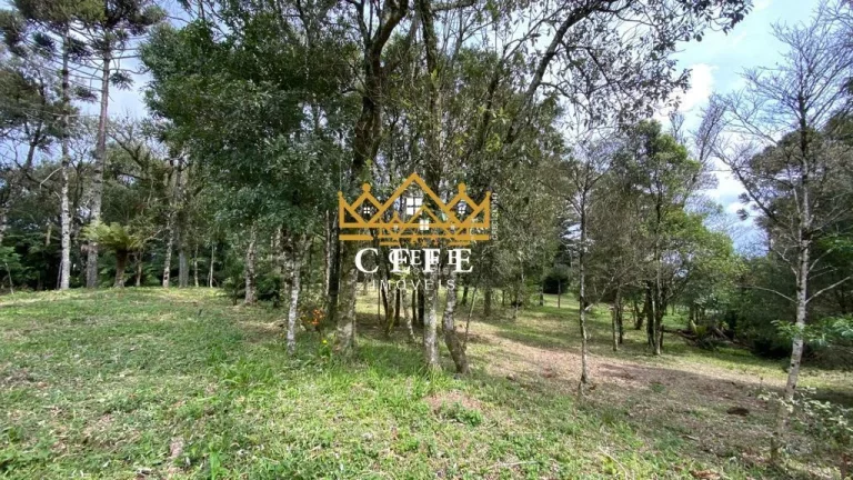 Imagem Chácara - Sítio com 4 Dormitorio(s) localizado(a) no bairro Mato Comprido em Morro Reuter / RIO GRANDE DO SUL Ref.:1404