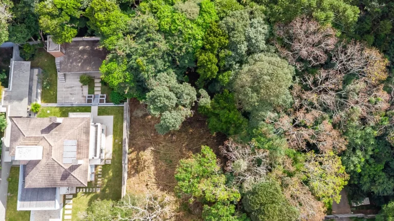 Imagem Terreno Campo Comprido