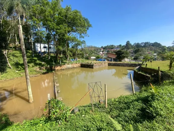 Imagem Chácara à venda, 24000 m² por R$ 1.060.000,00 - Jardim Ana Rosa (Palmeiras) - Suzano/SP