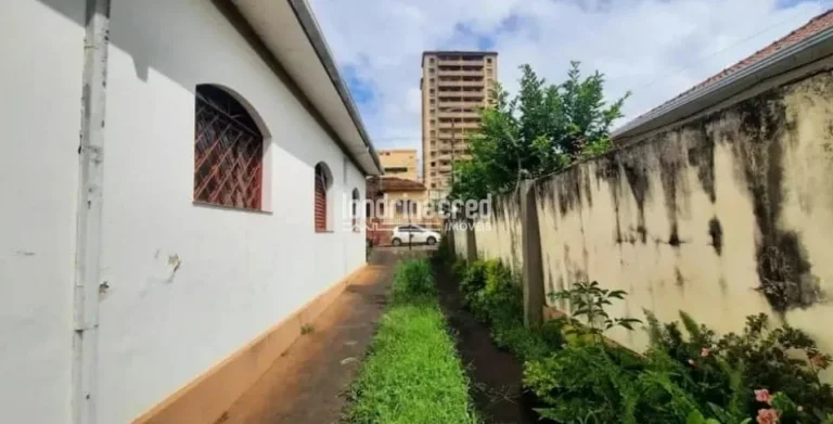 Imagem Casa no Centro de Londrina com amplo terreno de 562m², galpão nos fundos, quintal coberto e árvores frutíferas: fruta do conde, graviola e jabuticabeira.