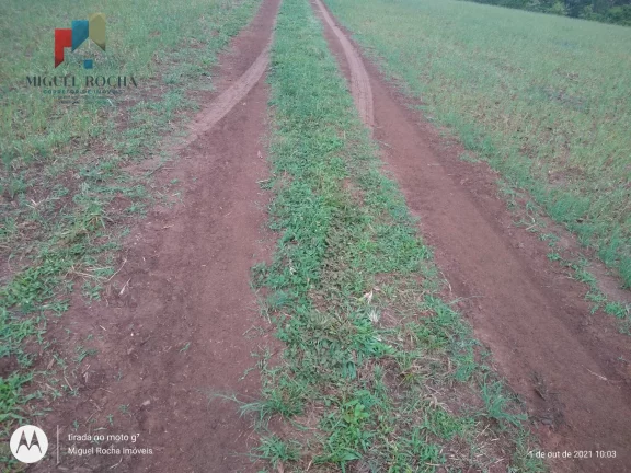 Imagem Fazenda Região de Itapetininga SP