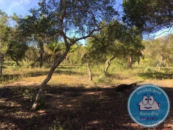 Imagem Gleba de Terra para Venda no Litoral -Região Caraívas R$750.000,00