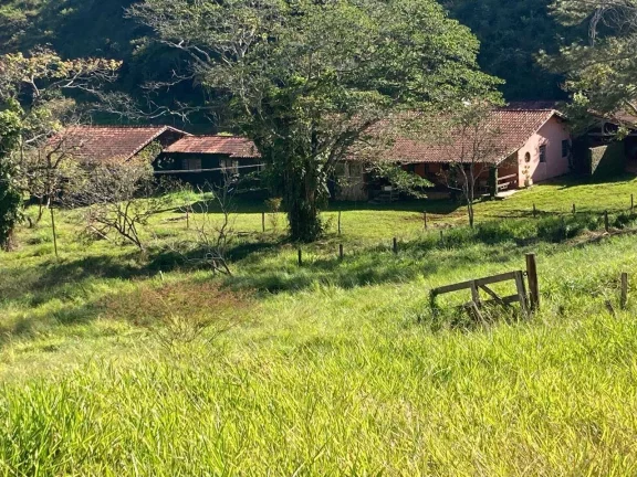 Imagem FAZENDA COM 87 HECTARES - GUARATINGUETÁ - SP