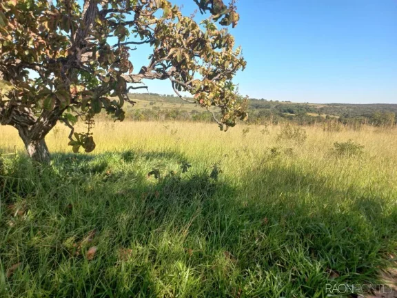 Imagem Fazenda à Venda, 10.000.000 m² em Zona Rural - Camapuã
