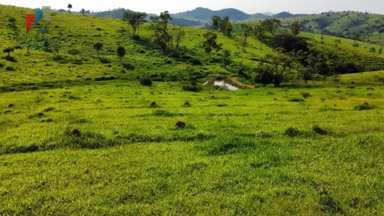 Imagem Fazenda região de Itapira SP