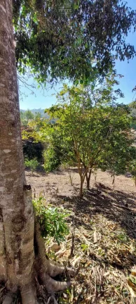 Imagem Oportunidade para Pousada em Socorro 10 minutos cidade