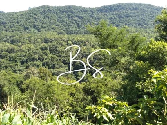 Imagem SITIO RESIDENCIAL em TRÊS COROAS - RS, Linha 28