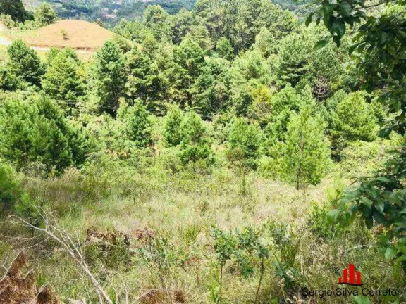 Imagem Terreno a Venda no Vale Encantado, Campos do Jordão - SP