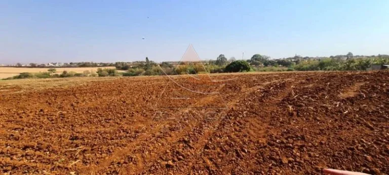 Imagem Área - Brodowski - Brodowski