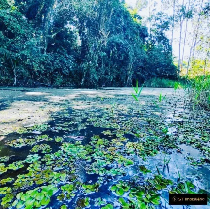 Imagem Haras com Estrutura completa de 9 hectares Escriturada! Negocia!