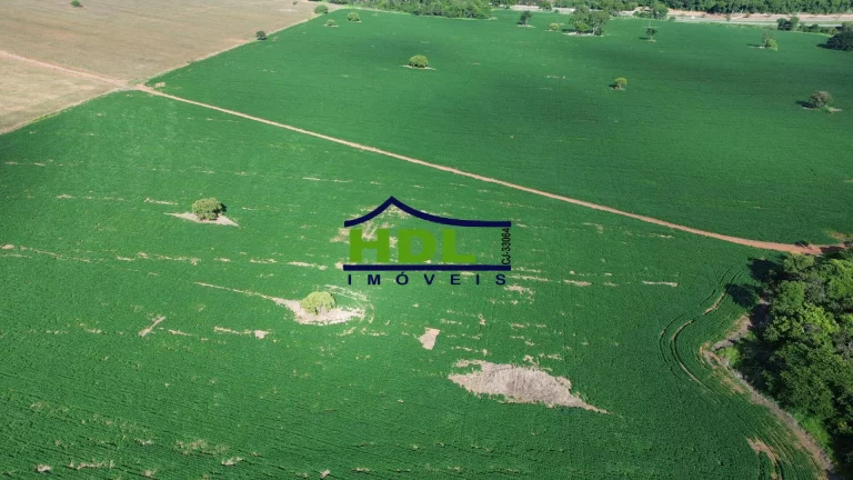 Imagem Área Comercial na BR-153 Hidrolândia GO