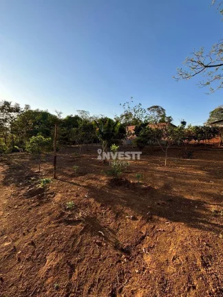 Imagem Chácara à venda no Jardim Helvécia Complemento - Aparecida de Goiânia/GO
