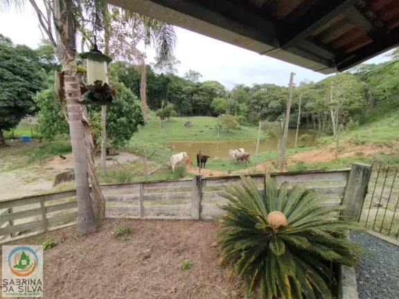 Imagem Sítio - Belchior Baixo - Gaspar