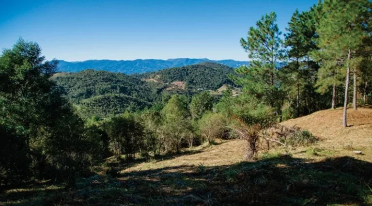 Imagem Terreno para Venda em Rancho Queimado / SC no bairro Villa do Prado