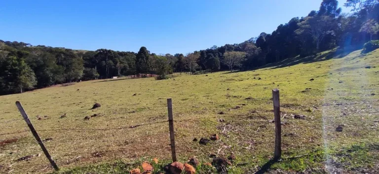 Imagem Chácara à venda em Cascavel - Área Rural com Energia Elétrica e Rio