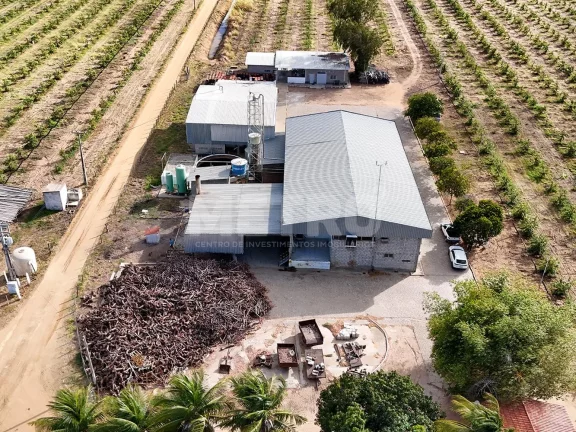 Imagem Aluguel de Fábrica de Polpas e Doces com estrutura completa, PETROLINA - PE