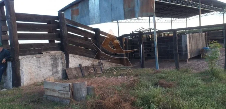 Imagem Fazenda - Guaraí - Guaraí