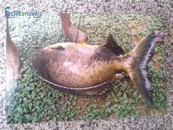 Imagem SITIO EM MIRACATU COM PISCINA E TANQUES DE PESCA