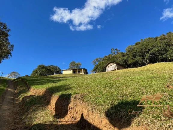 Imagem Lindo Sítio a Venda em Santo Antônio do Pinhal - OPORTUNIDADE!