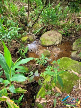 Imagem Refúgio na Mantiqueira: Seu Paraíso rural entre Gonçalves e Paraisópolis!