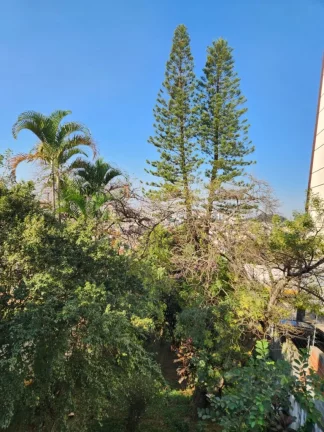 Imagem CASA RESIDENCIAL em Osasco - SP, Pestana