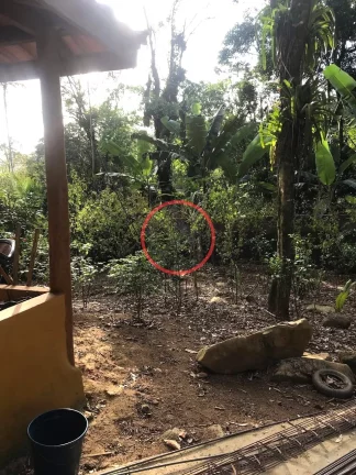 Imagem Casa estilo kitnet em terreno amplo 3000 metros na beira rio