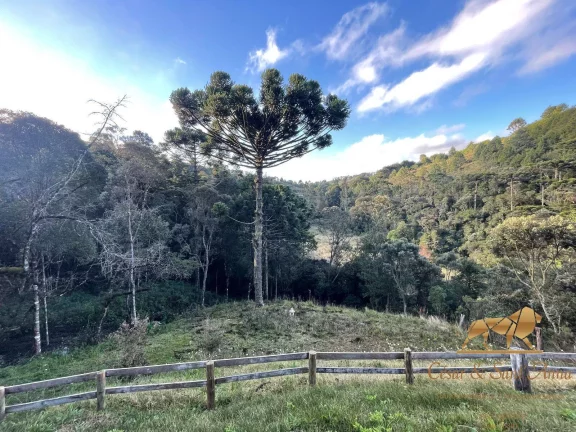 Imagem Casa em oportunidade de venda em Campos do Jordão-SP