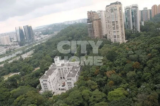 Imagem Excelente apto com 367 m² de área útil no melhor do Panamby. Living enorme, com lareira e varanda...