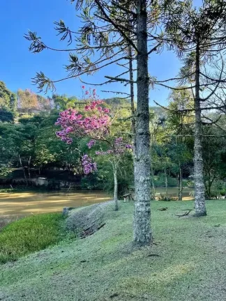 Imagem Onde a Pedra do Baú é sua Moldura Particular: Luxo e Natureza em Santo Antônio do Pinhal