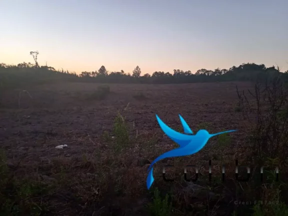Imagem Chácara à Venda, 27.225 m² em Ribeirãozinho - Agudos Do Sul