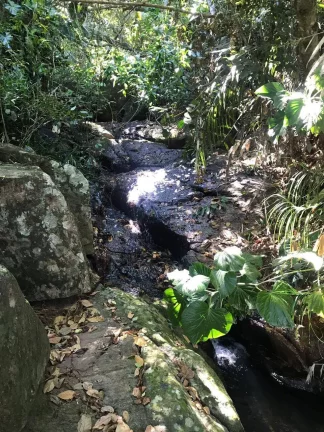 Imagem Paraty Terrenos Escriturados Front Mar