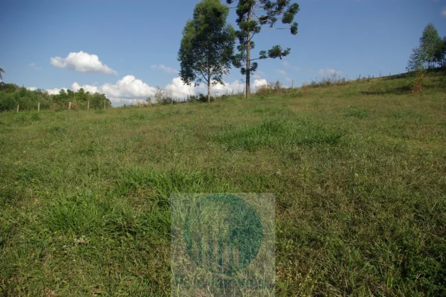 Imagem Sítio 13,5 alqueires R$ 150.000 valor do alqueire, excelente estrutura, planta milho, soja, tem 2.000 pés de mexerica - Jacuí - Minas Gerais