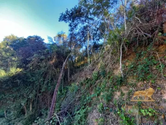 Imagem Terreno à venda, 729 m² Campos do Jordão/São Paulo