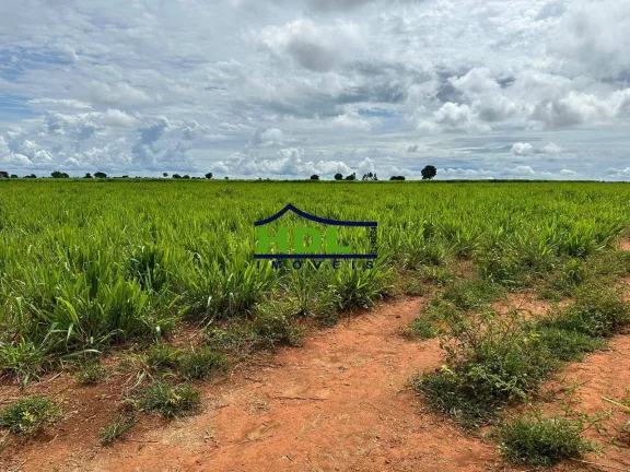 Imagem Fazenda dupla aptidão a venda em Nova Xavantina-MT