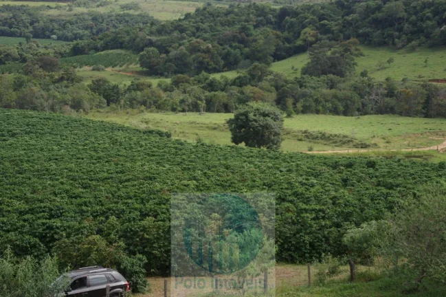 Imagem Fazenda com 140.000 pés de café produzindo, a 20 km de Jacuí Minas Gerais, casa de caseiro, energia e água.