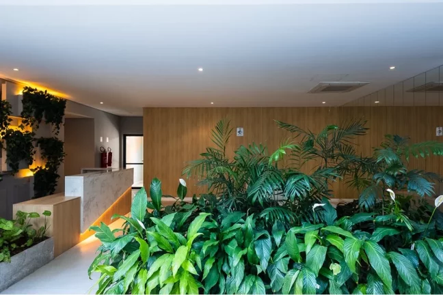 Imagem Apartamento à venda no bairro Vila Mariana - São Paulo/SP