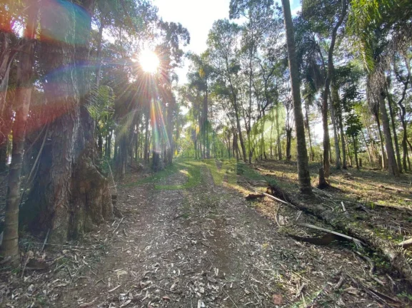 Imagem Lindo Terreno à Venda em Condomínio Fechado de Chácaras