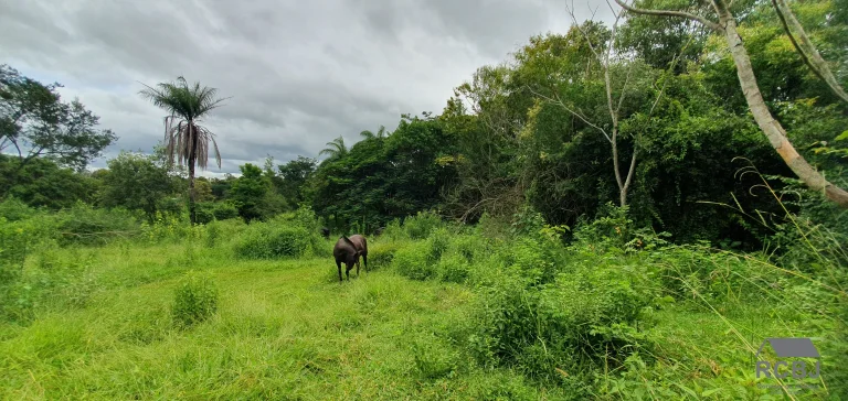 Imagem TERRENO COMERCIAL em ESMERALDAS - MG, CIDADE JARDIM