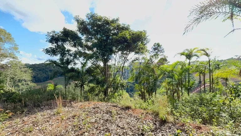 Imagem Chacara em Melgaço - Domingos Martins
