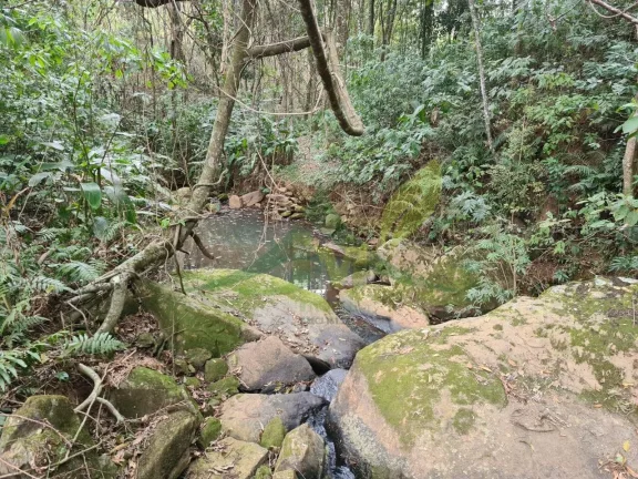 Imagem Lindo sítio à Venda em Piracaia